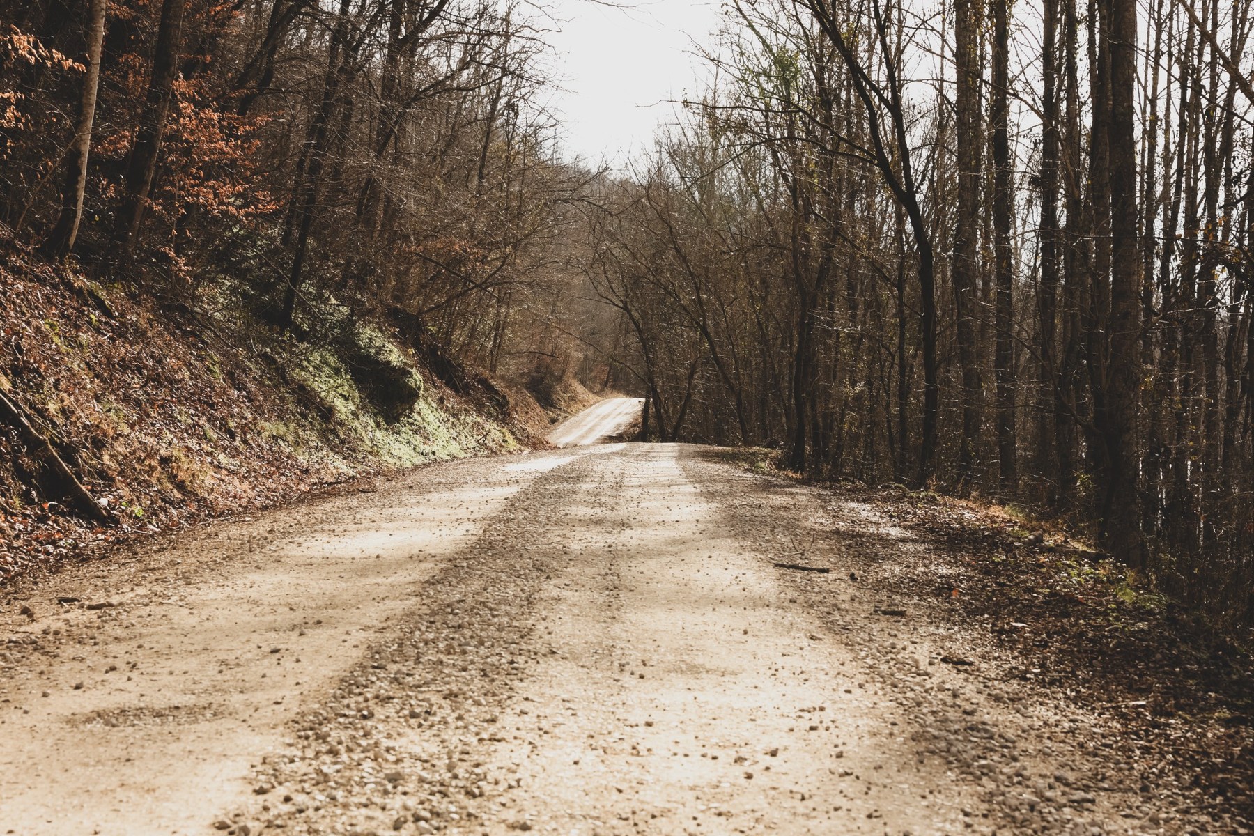 Winding gravel road through a wooded Kentucky landscape