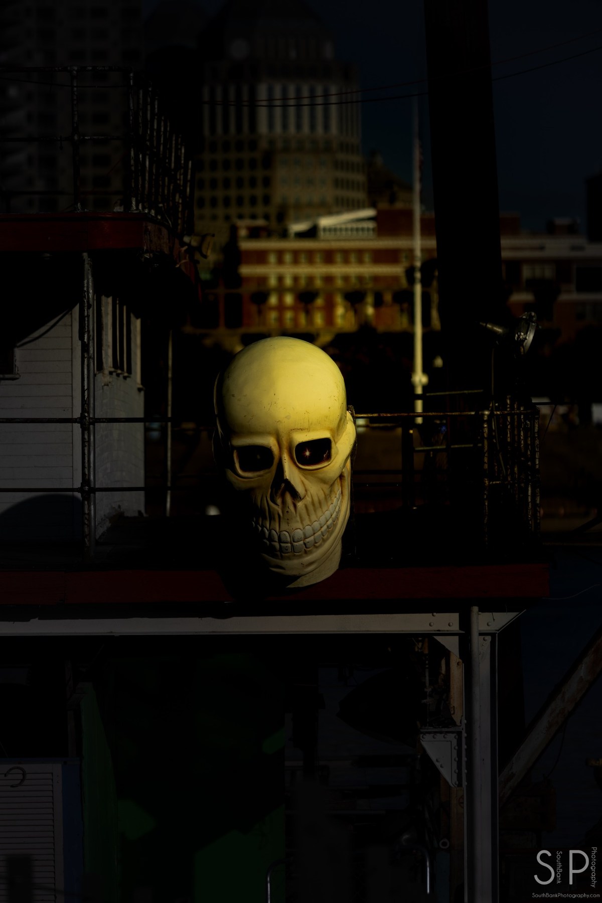Skull prop photographed in a dark riverfront attraction